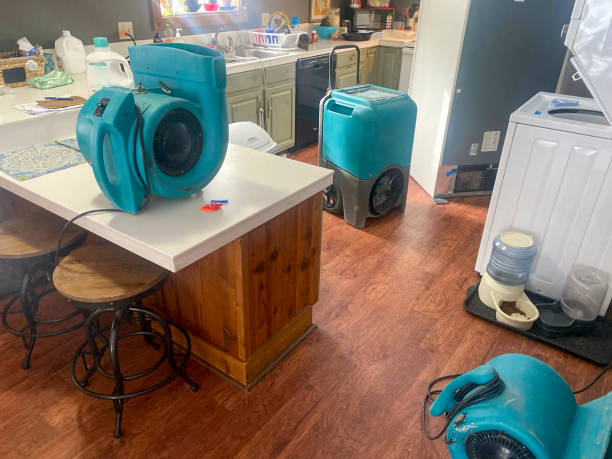 Best Residential water damage restoration  in Helena West Side, MT