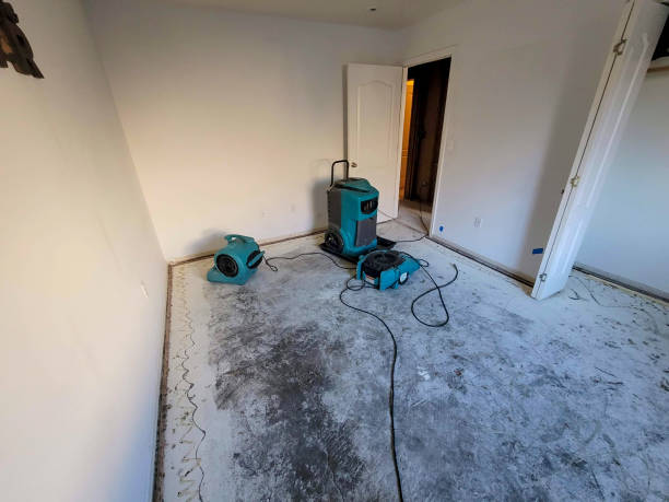 Best Commercial water damage restoration  in Helena West Side, MT