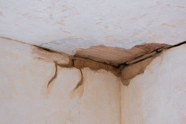 Best Mold removal after water damage  in Helena West Side, MT