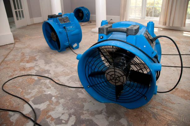Best Water damage cleanup near me  in Helena West Side, MT