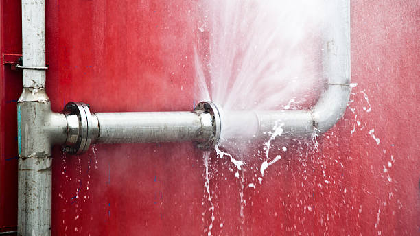 Best Carpet water damage restoration  in Helena West Side, MT